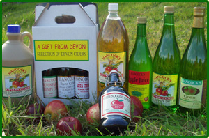 A selection from Hancocks Devon Cider A selection from Hancocks Devon Cider