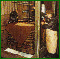 Cider press Cider press